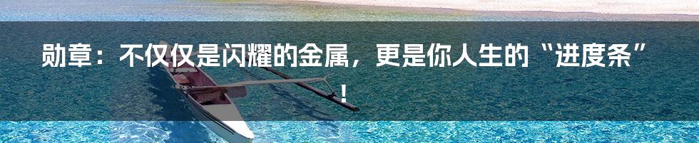 勋章：不仅仅是闪耀的金属，更是你人生的“进度条”！