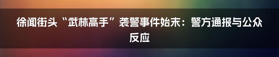 徐闻街头“武林高手”袭警事件始末:警方通报与公众反应