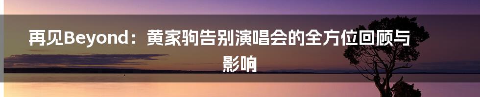 再见Beyond：黄家驹告别演唱会的全方位回顾与影响