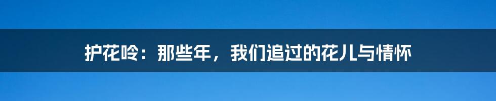 护花呤:那些年,我们追过的花儿与情怀