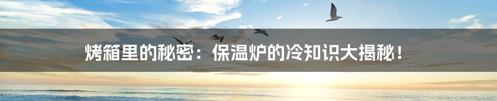 烤箱里的秘密:保温炉的冷知识大揭秘!