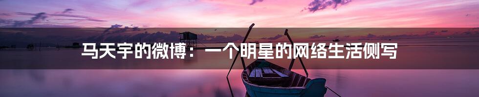 马天宇的微博：一个明星的网络生活侧写