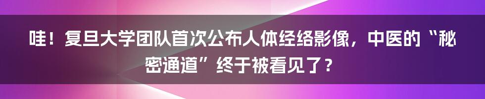 哇！复旦大学团队首次公布人体经络影像，中医的“秘密通道”终于被看见了？