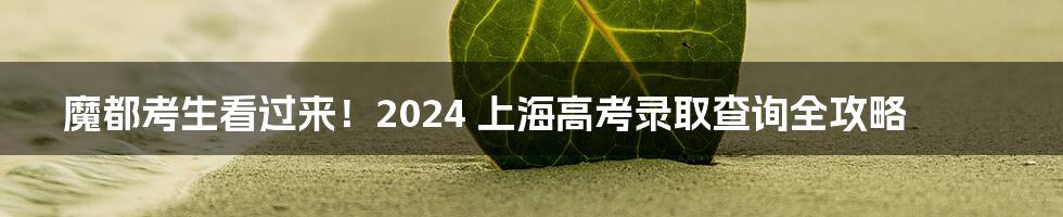 魔都考生看过来！2024 上海高考录取查询全攻略