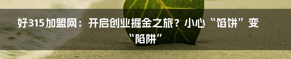 好315加盟网：开启创业掘金之旅？小心“馅饼”变“陷阱”
