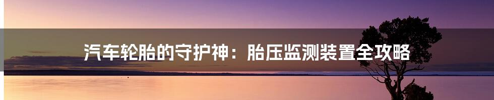 汽车轮胎的守护神：胎压监测装置全攻略