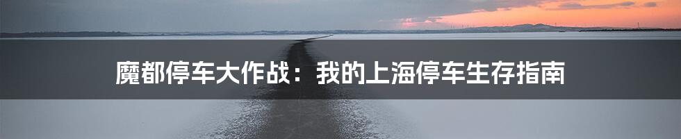 魔都停车大作战：我的上海停车生存指南