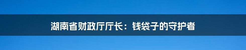 湖南省财政厅厅长:钱袋子的守护者
