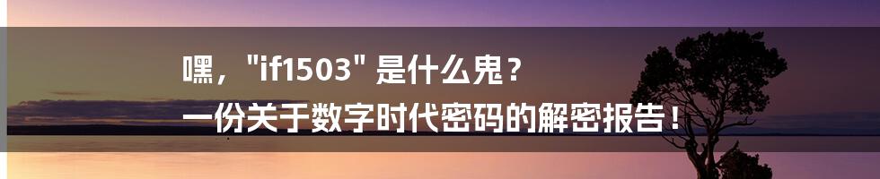 嘿，"if1503" 是什么鬼？ 一份关于数字时代密码的解密报告！
