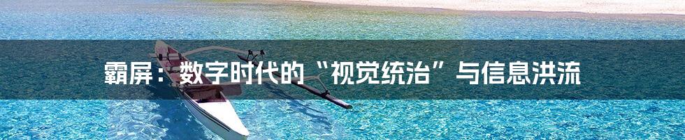 霸屏:数字时代的“视觉统治”与信息洪流