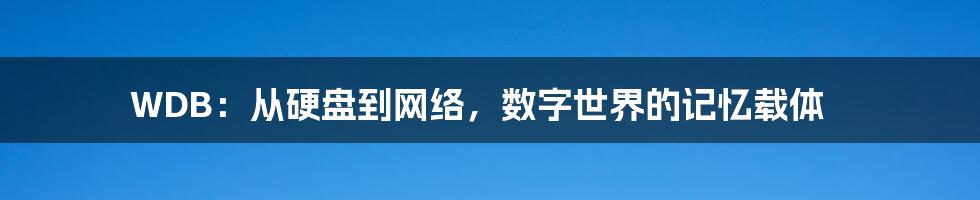 WDB：从硬盘到网络，数字世界的记忆载体