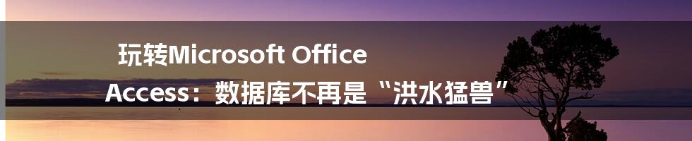玩转Microsoft Office Access：数据库不再是“洪水猛兽”
