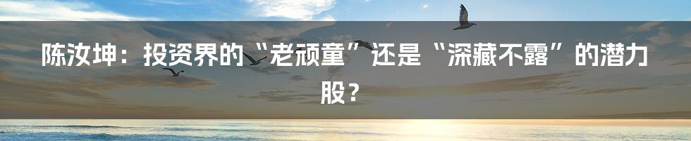 陈汝坤:投资界的“老顽童”还是“深藏不露”的潜力股?