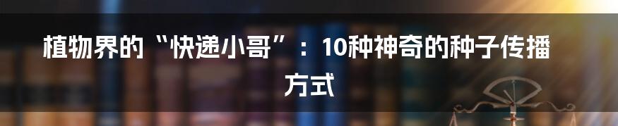 植物界的“快递小哥”：10种神奇的种子传播方式