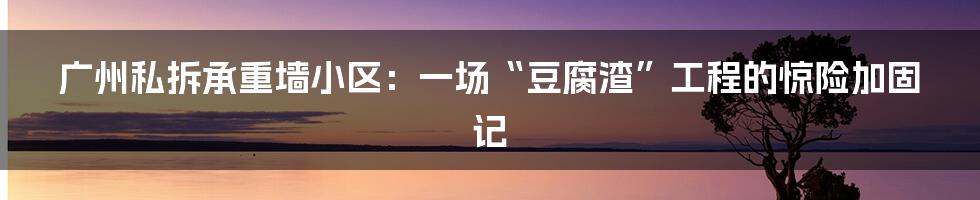 广州私拆承重墙小区:一场“豆腐渣”工程的惊险加固记