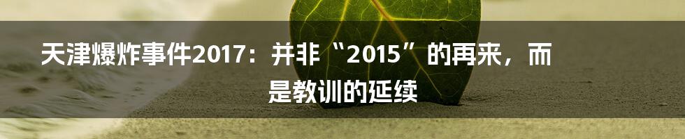 天津爆炸事件2017:并非“2015”的再来,而是教训的延续