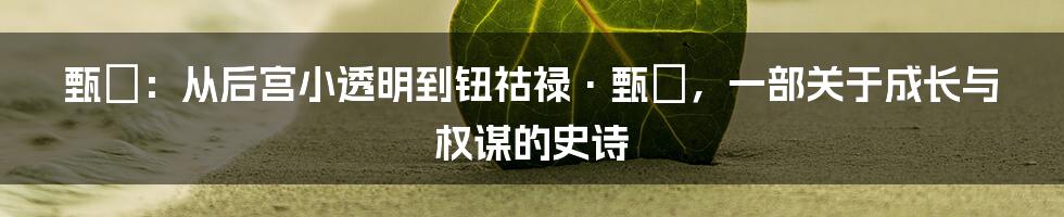 甄嬛：从后宫小透明到钮祜禄·甄嬛，一部关于成长与权谋的史诗