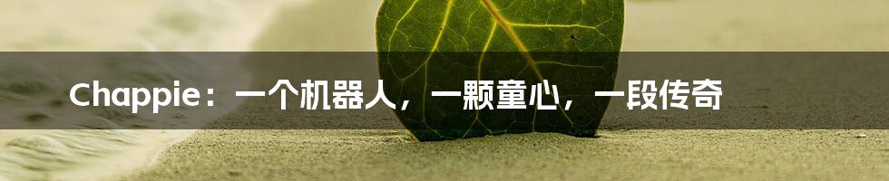 Chappie:一个机器人,一颗童心,一段传奇
