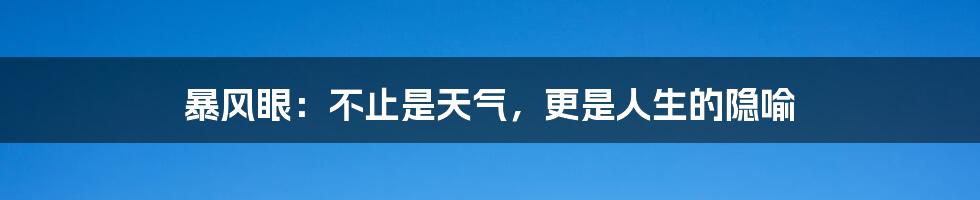 暴风眼：不止是天气，更是人生的隐喻