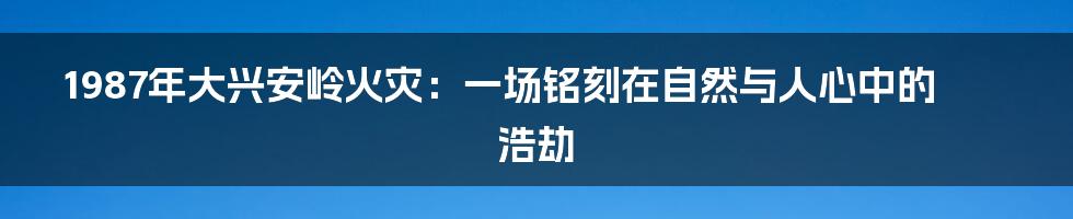 1987年大兴安岭火灾：一场铭刻在自然与人心中的浩劫