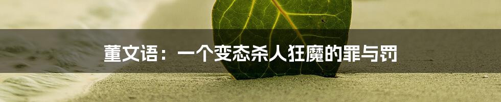 董文语：一个变态杀人狂魔的罪与罚