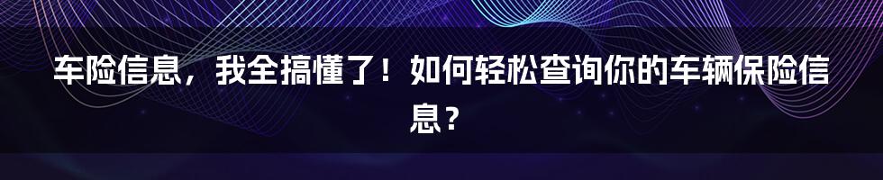 车险信息，我全搞懂了！如何轻松查询你的车辆保险信息？