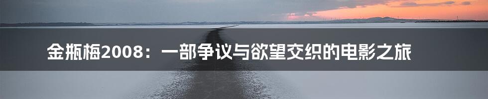 金瓶梅2008：一部争议与欲望交织的电影之旅