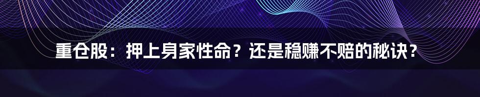 重仓股:押上身家性命?还是稳赚不赔的秘诀?