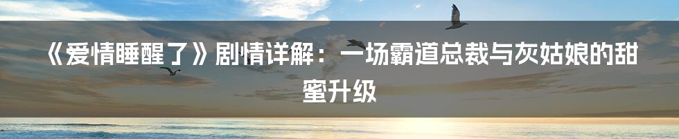 《爱情睡醒了》剧情详解:一场霸道总裁与灰姑娘的甜蜜升级