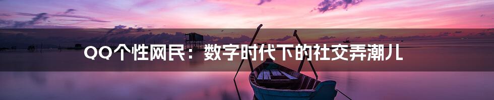 QQ个性网民:数字时代下的社交弄潮儿
