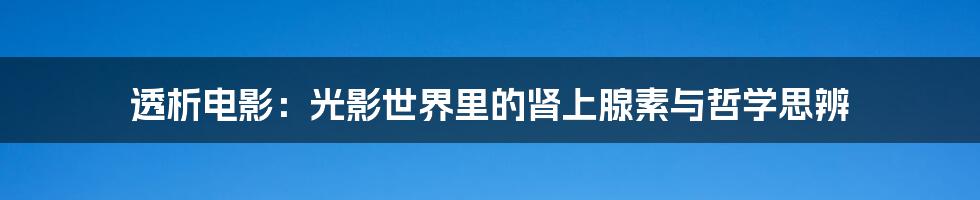 透析电影：光影世界里的肾上腺素与哲学思辨