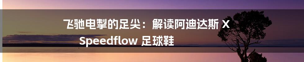 飞驰电掣的足尖：解读阿迪达斯 X Speedflow 足球鞋