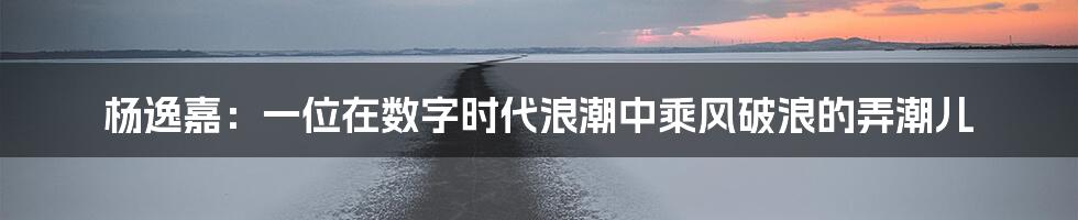 杨逸嘉:一位在数字时代浪潮中乘风破浪的弄潮儿