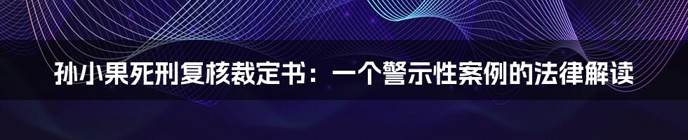 孙小果死刑复核裁定书:一个警示性案例的法律解读