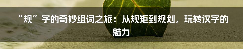 “规”字的奇妙组词之旅：从规矩到规划，玩转汉字的魅力