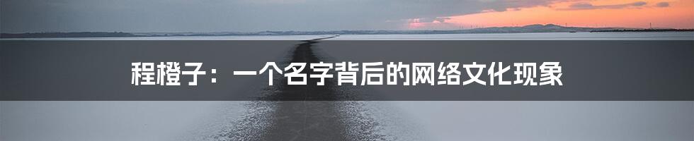 程橙子：一个名字背后的网络文化现象