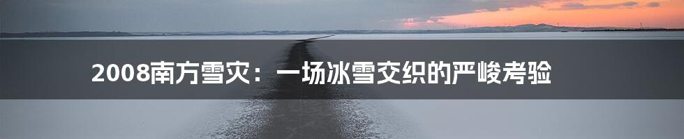 2008南方雪灾：一场冰雪交织的严峻考验