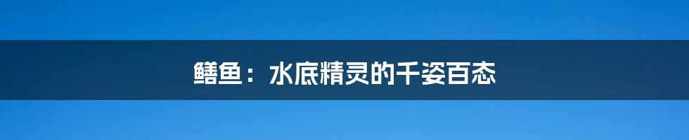 鳝鱼：水底精灵的千姿百态