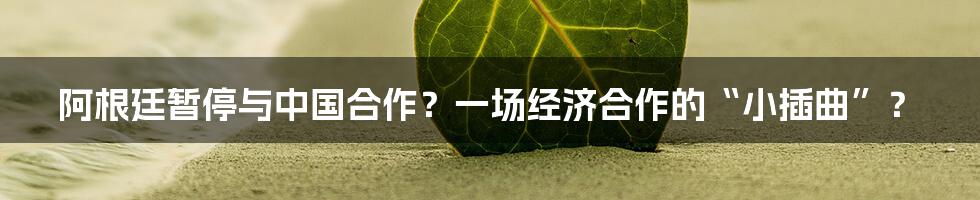 阿根廷暂停与中国合作？一场经济合作的“小插曲”？