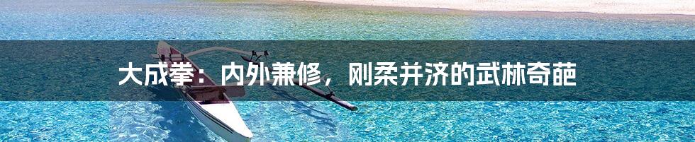 大成拳：内外兼修，刚柔并济的武林奇葩