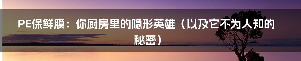 PE保鲜膜：你厨房里的隐形英雄（以及它不为人知的秘密）