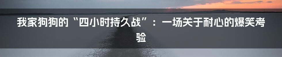 我家狗狗的“四小时持久战”：一场关于耐心的爆笑考验