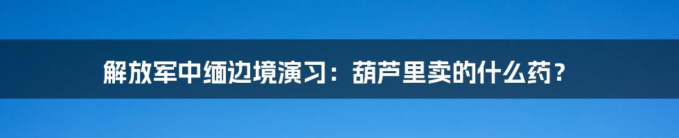 解放军中缅边境演习:葫芦里卖的什么药?