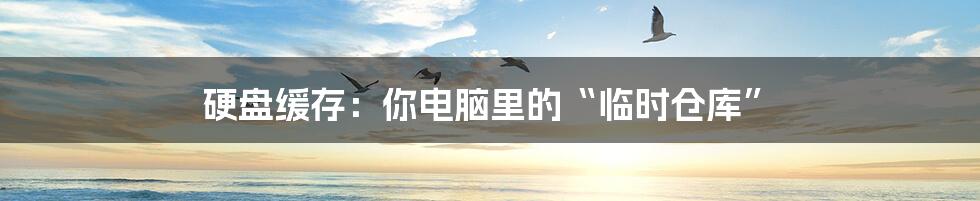 硬盘缓存:你电脑里的“临时仓库”