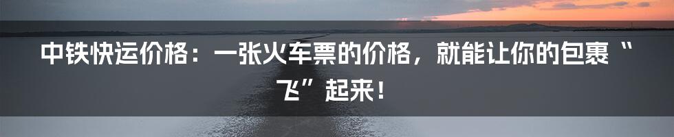 中铁快运价格:一张火车票的价格,就能让你的包裹“飞”起来!