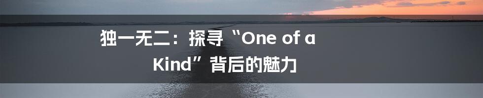 独一无二：探寻“One of a Kind”背后的魅力