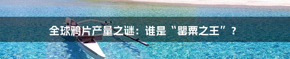 全球鸦片产量之谜：谁是“罂粟之王”？