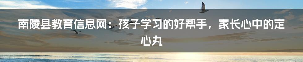 南陵县教育信息网:孩子学习的好帮手,家长心中的定心丸