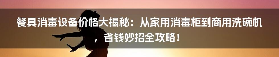 餐具消毒设备价格大揭秘：从家用消毒柜到商用洗碗机，省钱妙招全攻略！