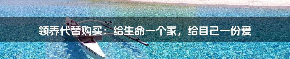 领养代替购买:给生命一个家,给自己一份爱
